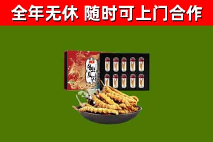 梅州回收冬虫夏草价格